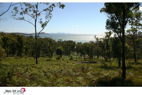 480 Rheban Rd, Spring Beach, TAS 7190