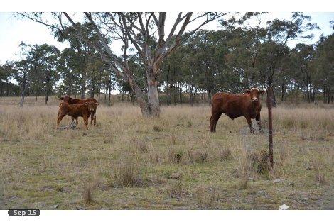 Lot 4 New England Hwy, Missen Flat, QLD 4361