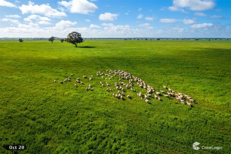 816 Poverty Lane, Cowabbie, NSW 2652