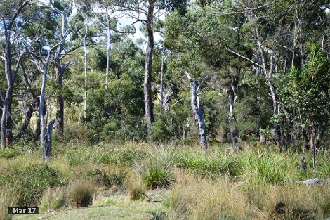 184 Peacock Rd, The Gurdies, VIC 3984