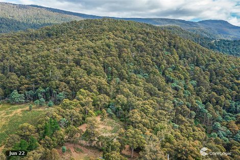 Lot 1 Fyfes Rd, Mountain River, TAS 7109