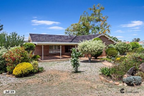 19 Craigends Lane, Hillvue, NSW 2340