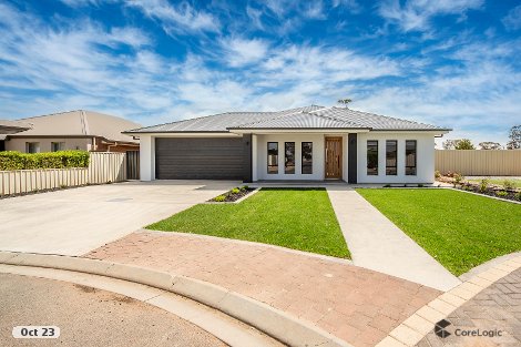 41 Peterson Cct, Risdon Park, SA 5540