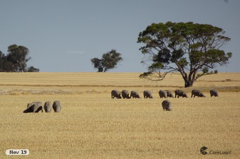 3066 Bullaring Rd, East Pingelly, WA 6308