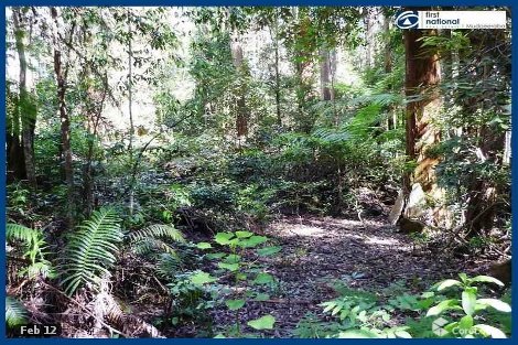 8-10 Wattle Gr, Springbrook, QLD 4213