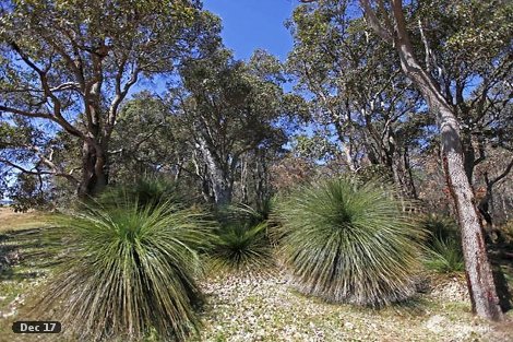 Lot 66 Summer Brce, Yallingup, WA 6282