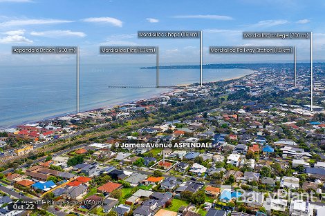 9 James Ave, Aspendale, VIC 3195