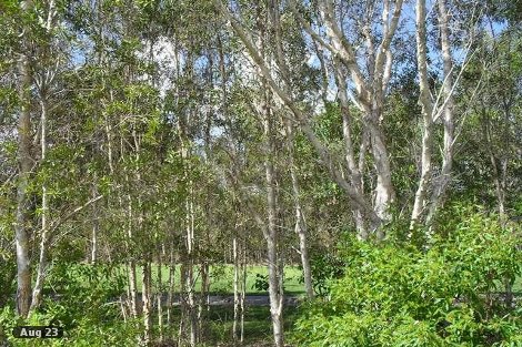 35 Augusta Cct, Peregian Springs, QLD 4573