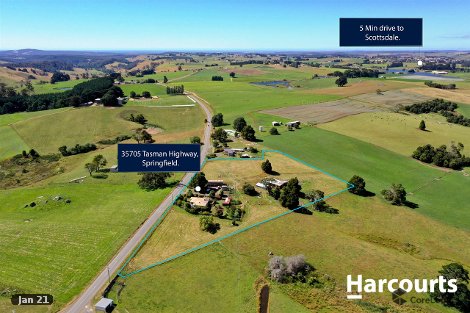 35705 Tasman Hwy, Springfield, TAS 7260