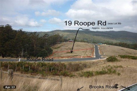 19 Roope Rd, Lower Barrington, TAS 7306