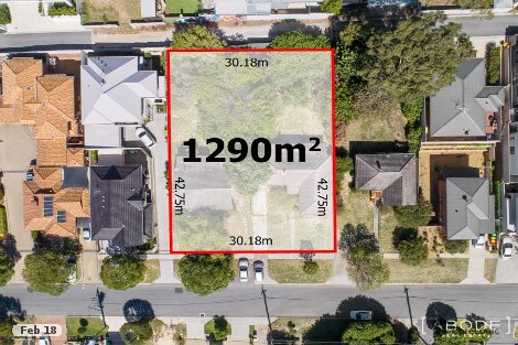 119 Woodside St, Doubleview, WA 6018