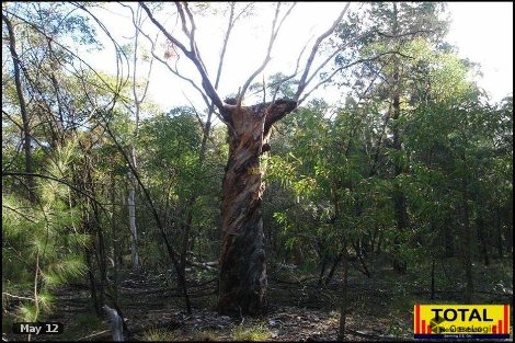 Lot 43 Pine Rd, Millmerran Woods, QLD 4357