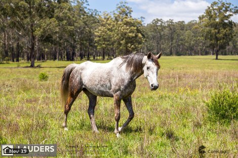 86 Old Bar Rd, Glenthorne, NSW 2430