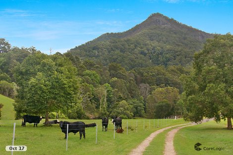 Tarcoola Lane, Uki, NSW 2484